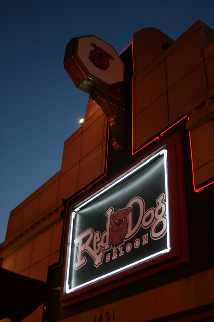 Red Dog